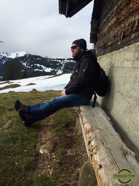 Elmer enjoying the view of the Swiss Alps